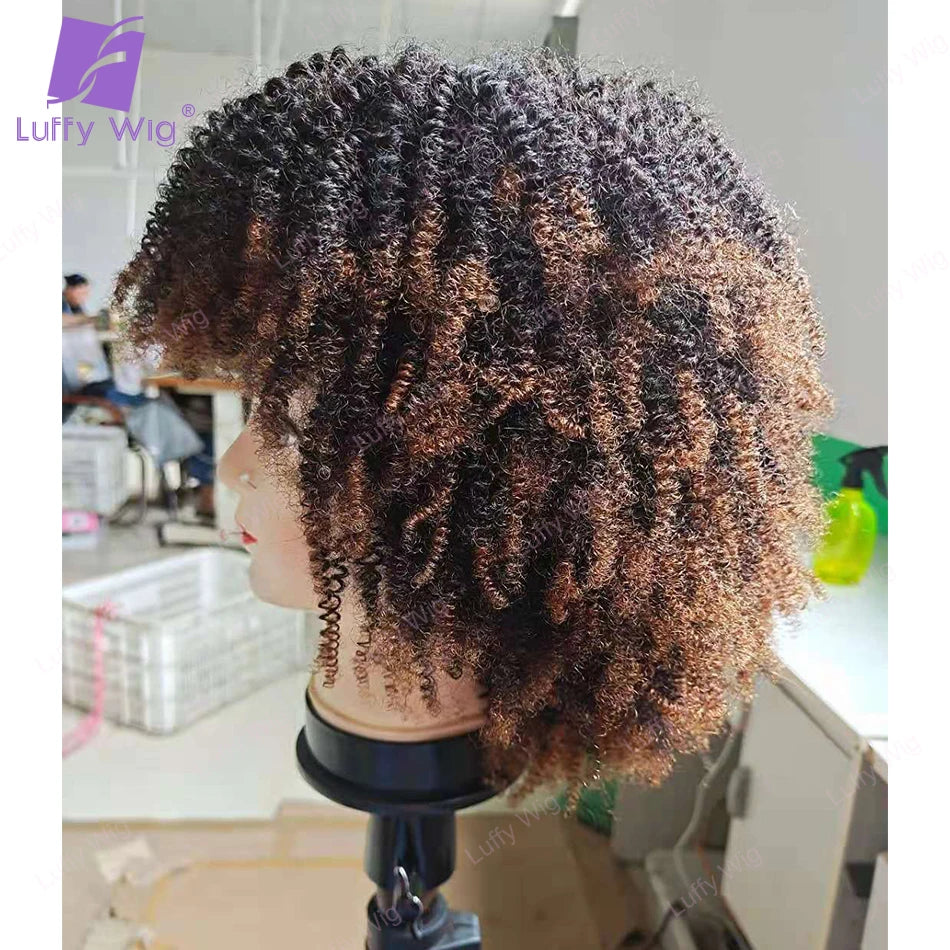 LUFFY – perruque naturelle Remy brésilienne ombrée, cheveux Afro crépus bouclés, sans colle, densité 200, pour femmes noires