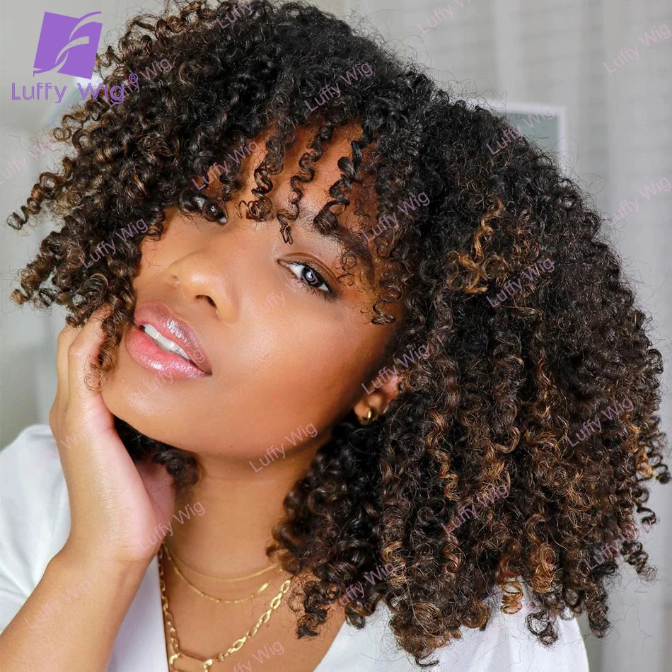 LUFFY – perruque naturelle Remy brésilienne ombrée, cheveux Afro crépus bouclés, sans colle, densité 200, pour femmes noires