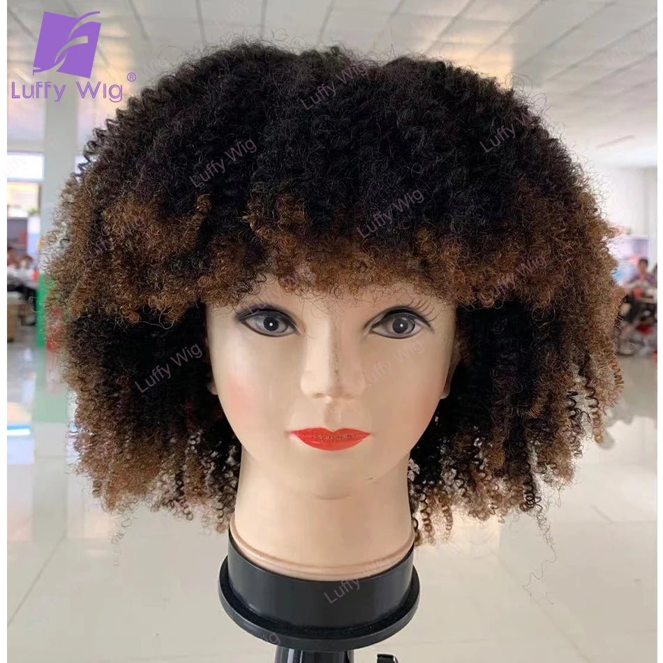 LUFFY – perruque naturelle Remy brésilienne ombrée, cheveux Afro crépus bouclés, sans colle, densité 200, pour femmes noires