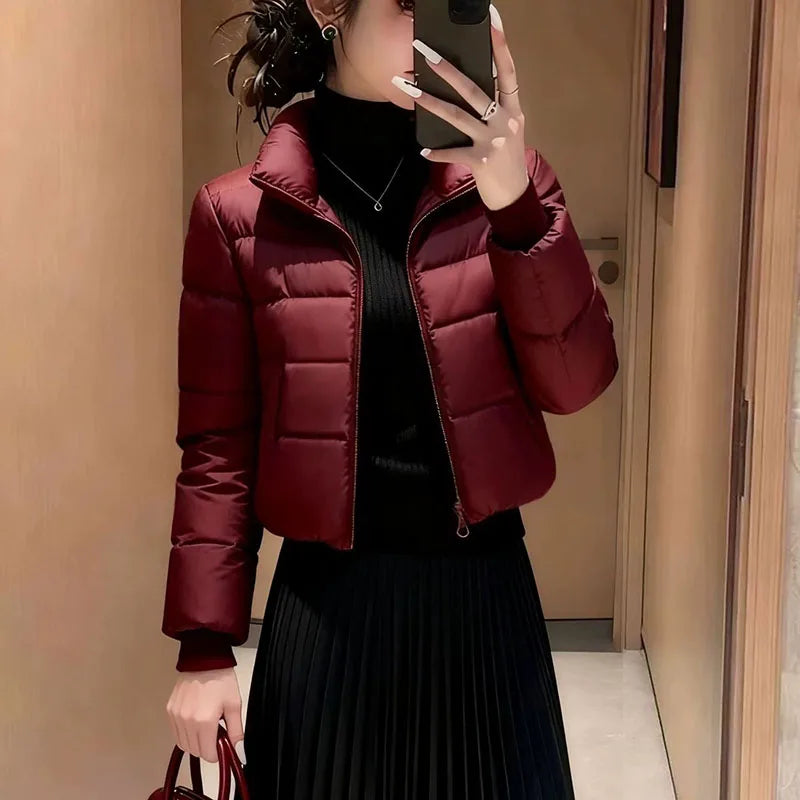 Blouson court matelassé en duvet de coton pour femme, nouveau modèle 2026, col montant, manteau d'hiver slim, parka courte rembourrée chaude, vêtement d'extérieur pour femme