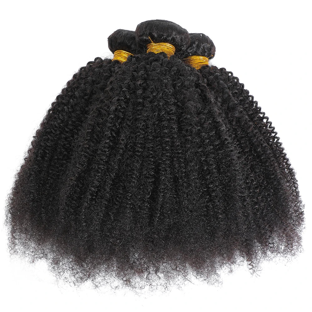 Mèches mongoliennes naturelles Remy crépues et bouclées afro, extensions de cheveux à double trame, document naturel, extrémité complète, 1/3 pièces par lot, 100g/pièce
