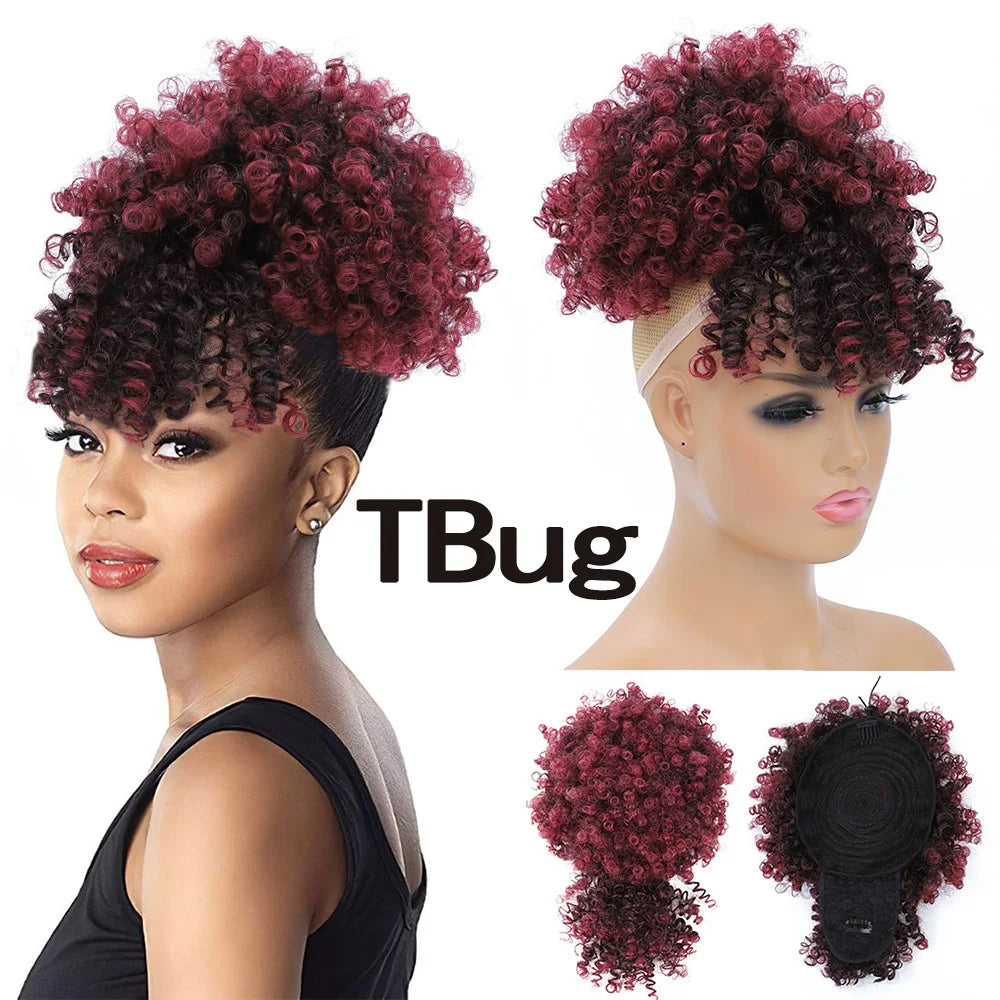 Extensions synthétiques queue de cheval Afro avec cordon de serrage, 10 pouces, pour femmes noires, 4b 4c, cheveux crépus bouclés, chignon, perruques queue de cheval, usage quotidien