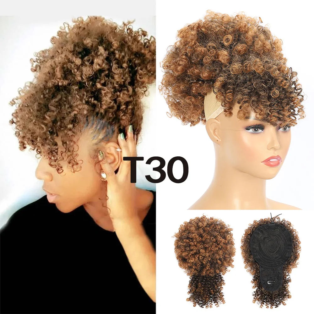 Extensions synthétiques queue de cheval Afro avec cordon de serrage, 10 pouces, pour femmes noires, 4b 4c, cheveux crépus bouclés, chignon, perruques queue de cheval, usage quotidien