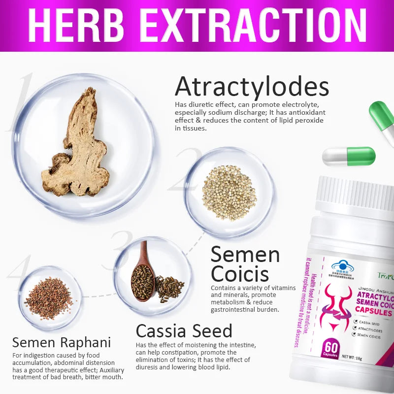 Meilleurs produits amincissants pour femmes, brûleurs de graisse naturels, coupe-faim à base de plantes, boisson pour le ventre, beauté et santé