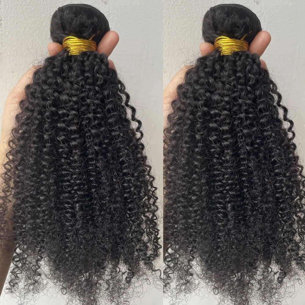 Mèches mongoliennes naturelles Remy crépues et bouclées afro, extensions de cheveux à double trame, document naturel, extrémité complète, 1/3 pièces par lot, 100g/pièce