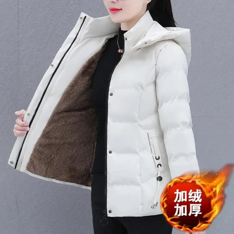 Veste rembourrée en coton et velours pour femme, pardessus chaud et décontracté, mode coréenne, nouvelle collection automne et hiver 2023