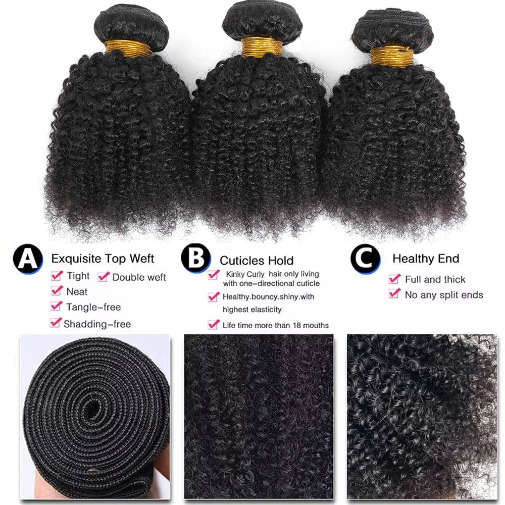Mèches mongoliennes naturelles Remy crépues et bouclées afro, extensions de cheveux à double trame, document naturel, extrémité complète, 1/3 pièces par lot, 100g/pièce